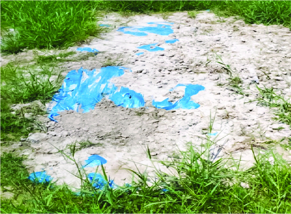 Image of মো: মোনায়েল আহমেদ 